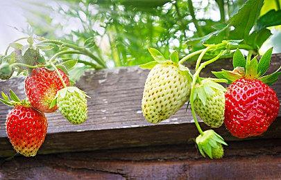 《Ultimate Ragdoll Game》登陆Steam 好评沙盒创意构建